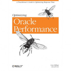 Optimizing Oracle Performance