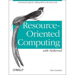 Resource-Oriented Computing with NetKernel: Taking Rest Ideas to the Next Level