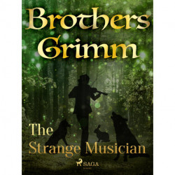 The Strange Musician
