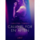 Callgirl for en aften - Erotisk novelle