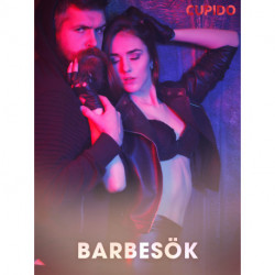 Barbesök