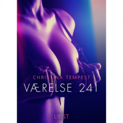 Værelse 241 - Erotisk novelle
