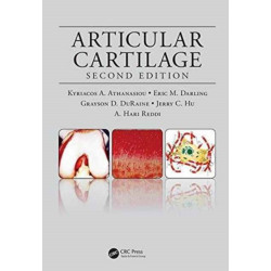 Articular Cartilage