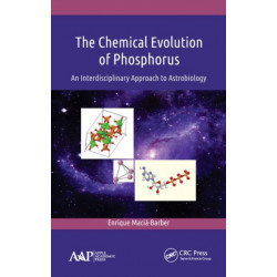 The Chemical Evolution of Phosphorus: An Interdisciplinary Approach to Astrobiology