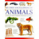 My First Encyclopedia of Animals (giant Size)