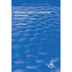 Efficiency Issues in Transitional Economies: Application to Hungary