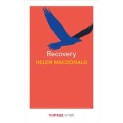 Recovery: Vintage Minis