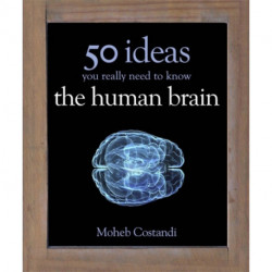 50 Human Brain Ideas You Really Need to Know