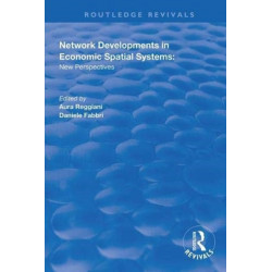 Network Developments in Economic Spatial Systems: New Perspectives