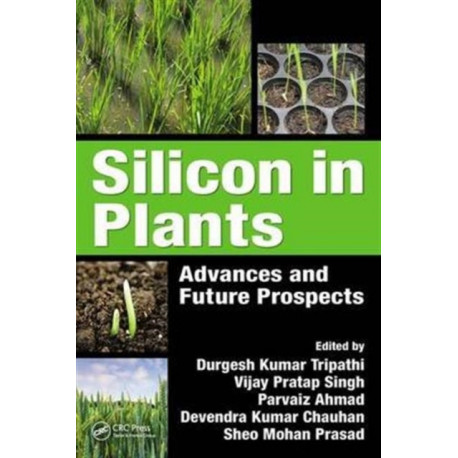 Silicon in Plants: Advances and Future Prospects