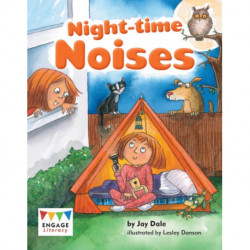 Night-time Noises