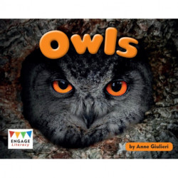 Owls