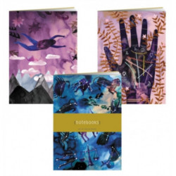 Practical Magic Notebooks: Set of 3 Blank Notebooks