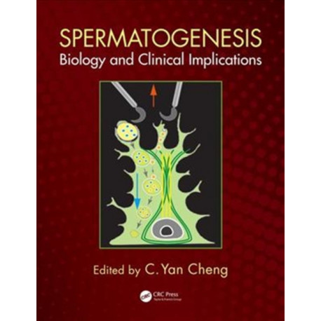 Spermatogenesis: Biology and Clinical Implications