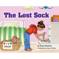 The Lost Sock