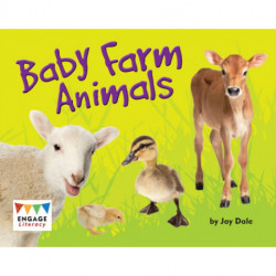 Baby Farm Animals