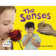 The Senses