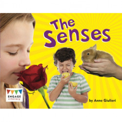 The Senses