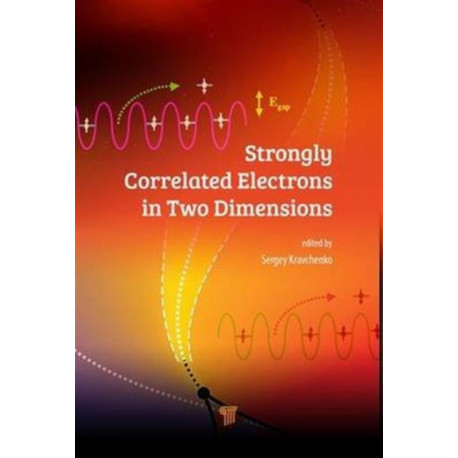 Strongly Correlated Electrons in Two Dimensions