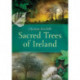 Sacred Trees of Ireland