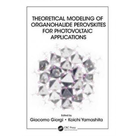 Theoretical Modeling of Organohalide Perovskites for Photovoltaic Applications