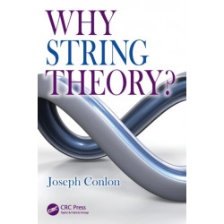 Why String Theory?