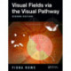 Visual Fields via the Visual Pathway
