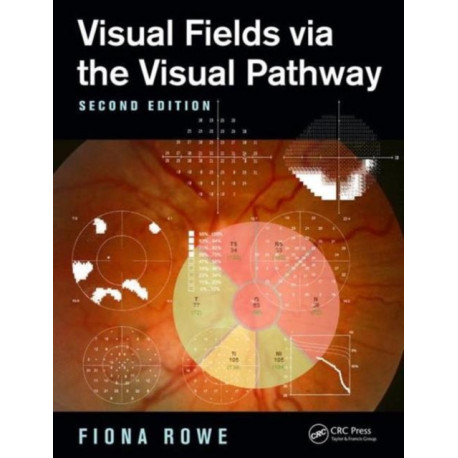 Visual Fields via the Visual Pathway