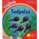 Oxford Reading Tree Songbirds Phonics: Level 4: Tadpoles