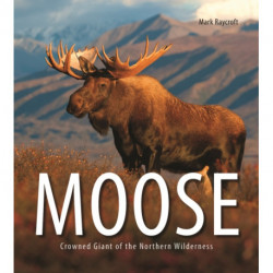 Moose: Crowned Giant of the Northern Wilderness