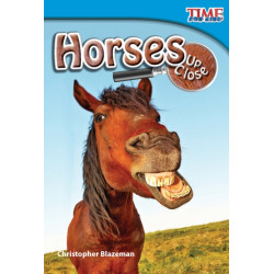 Horses Up Close