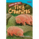 Strange but True: Tiny Creatures: Tiny Creatures