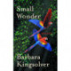 Small Wonder: Author of Demon Copperhead, Winner of the Women’s Prize for Fiction