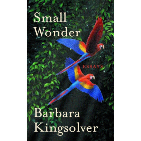 Small Wonder: Author of Demon Copperhead, Winner of the Women’s Prize for Fiction