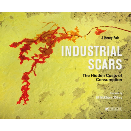 Industrial Scars: The Hidden Costs of Consumption