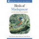 Field Guide to the Birds of Madagascar and the Indian Ocean Islands