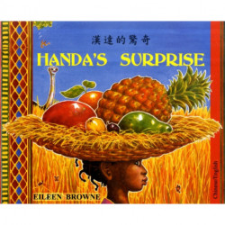 Handa's Surprise in Chinese and English