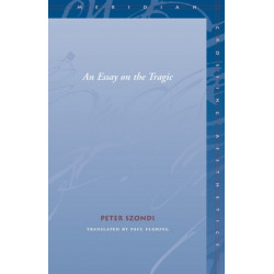 An Essay on the Tragic