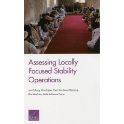 Assessing Locally Focused Stability Operations