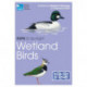 RSPB ID Spotlight - Wetland Birds