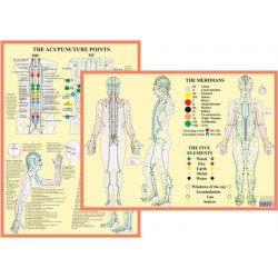 Meridians and 5 Elements