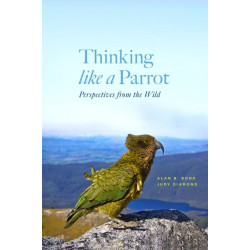 Thinking Like a Parrot: Perspectives from the Wild
