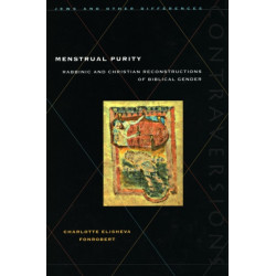 Menstrual Purity: Rabbinic and Christian Reconstructions of Biblical Gender