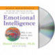 Emotional Intelligence: Why It Can Matter More Than IQ