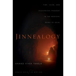 Jinnealogy: Time, Islam, and Ecological Thought in the Medieval Ruins of Delhi