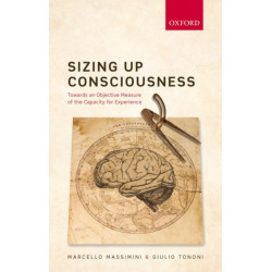 Sizing up Consciousness: Towards an objective measure of the capacity for experience