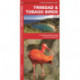 Trinidad & Tobago Birds: A Folding Pocket Guide to Familiar Species