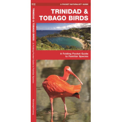 Trinidad & Tobago Birds: A Folding Pocket Guide to Familiar Species