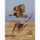 Booming from the Mists of Nowhere: The Story of the Greater PrairieChicken