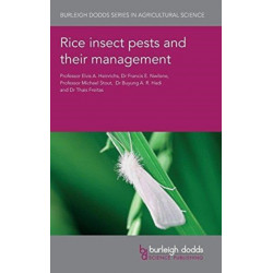 Rice Insect Pests and Their Management